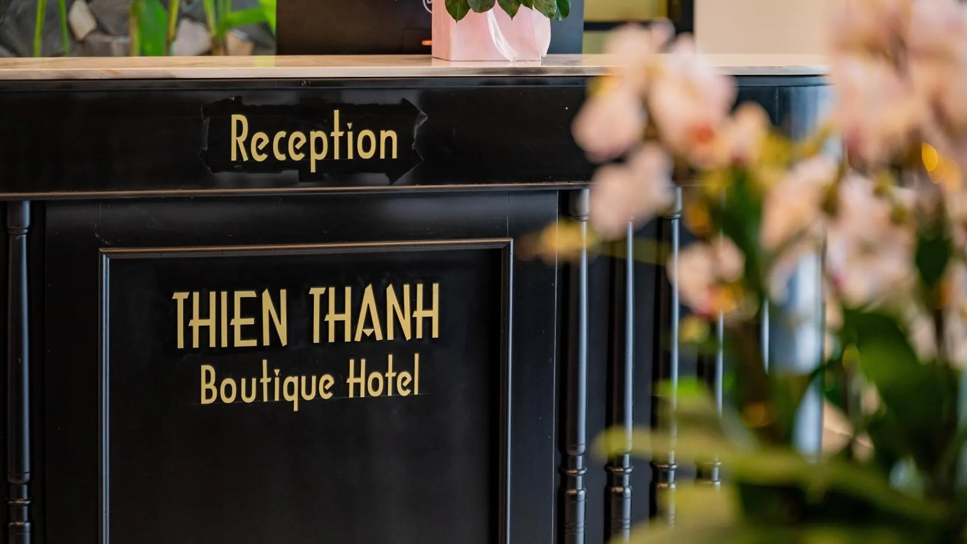 Thien Thanh Boutique Hotel Hoi An Vietnam